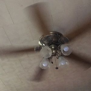 Meet your Posher, Shonilea